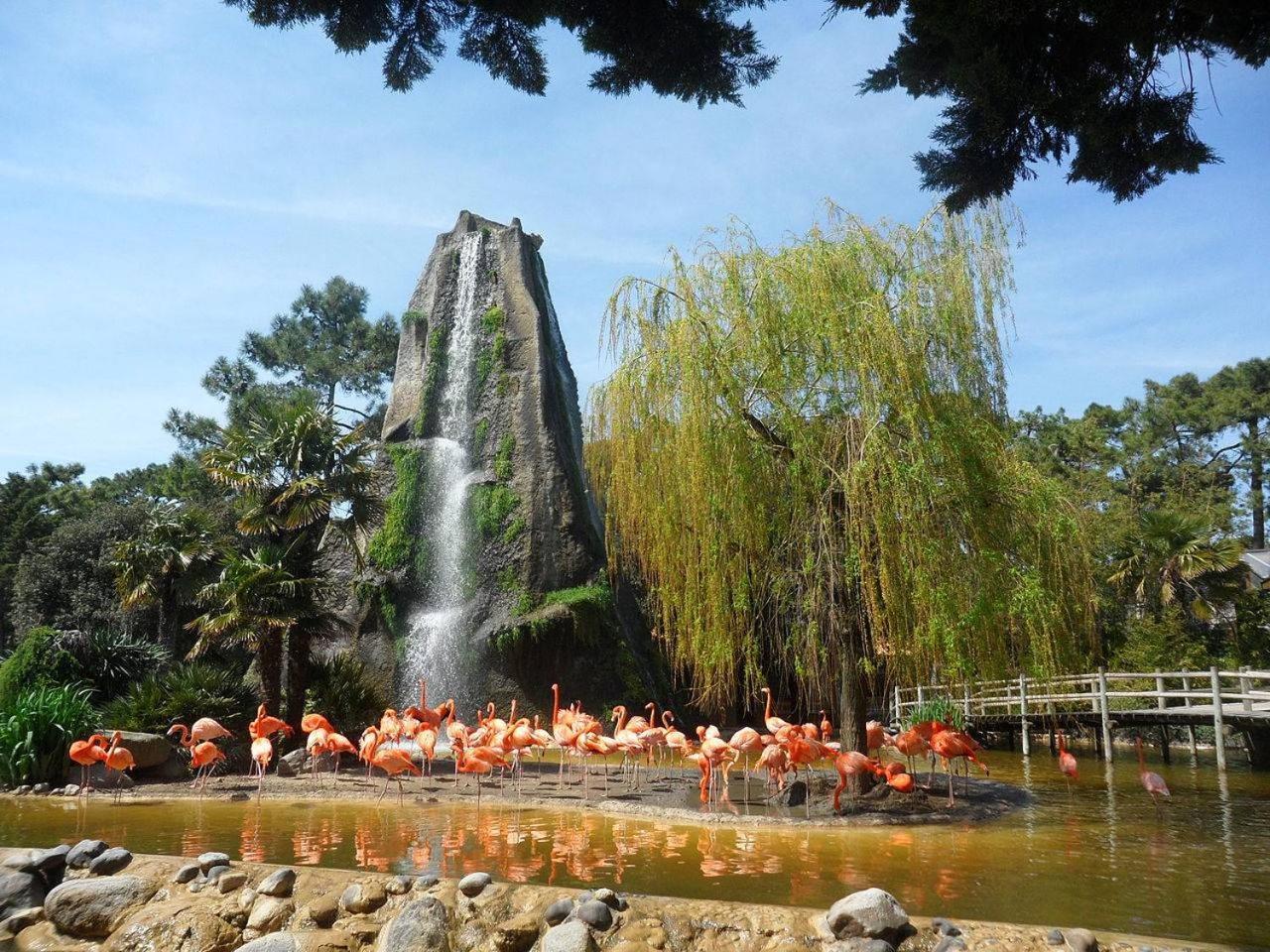 Royan Parc - Appartement - Residence La Grande Hune - Apercu Mer 외부 사진